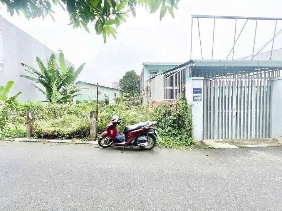 Bất động sản tại Bình Dương - ảnh 1
