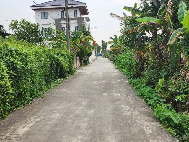 Bất động sản tại Hải Phòng - ảnh 1