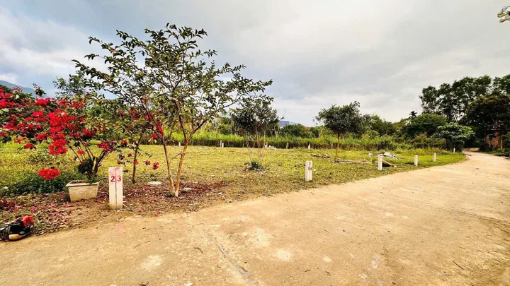 Bất động sản tại Khánh Hòa - ảnh 1
