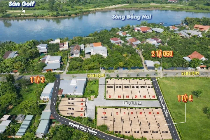 Bất động sản tại Đồng Nai - ảnh 1