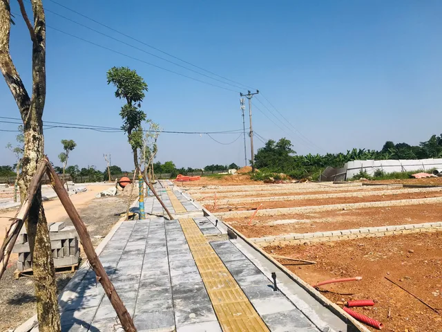 Bất động sản tại Phú Thọ - ảnh 1