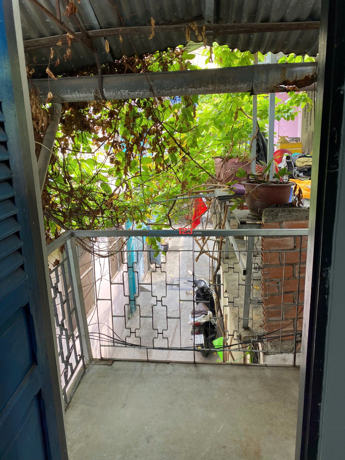 Bất động sản tại TP. Hồ Chí Minh - ảnh 1