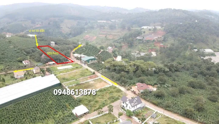 Bất động sản tại Lâm Đồng - ảnh 1