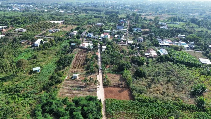 Bất động sản tại TP. Hồ Chí Minh - ảnh 1