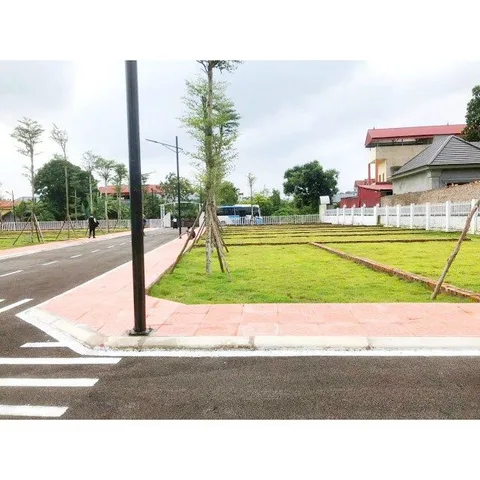 Bất động sản tại Phú Thọ - ảnh 1