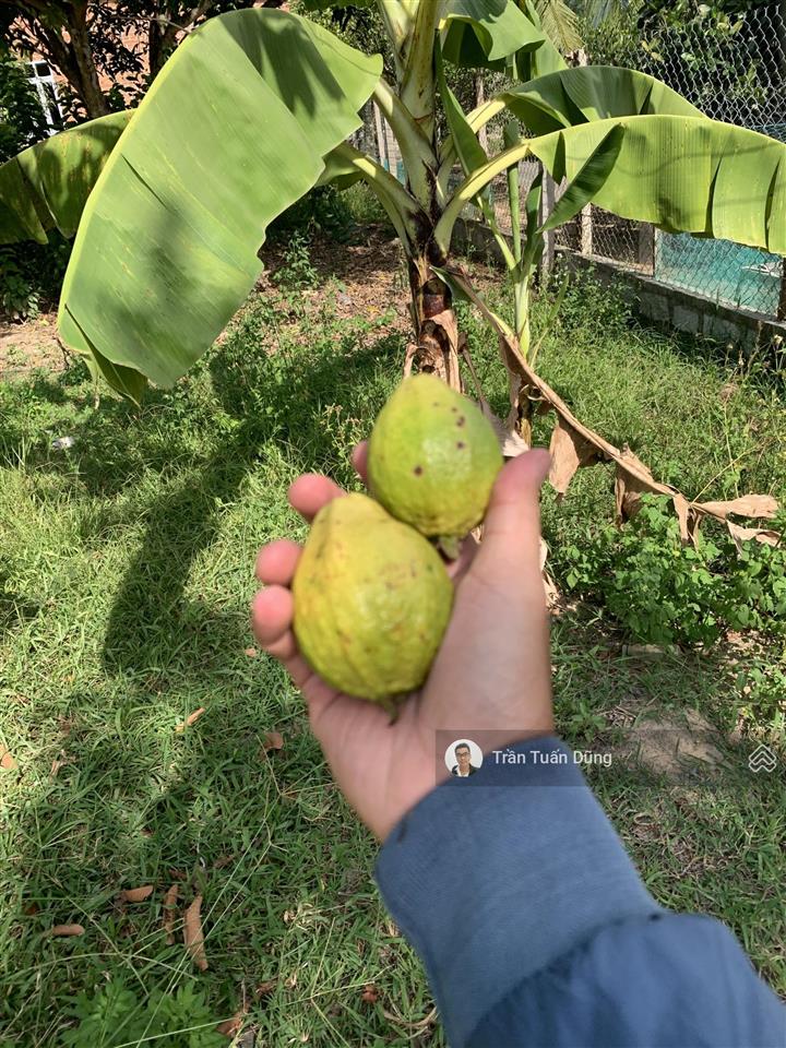 Bất động sản tại Khánh Hòa - ảnh 1