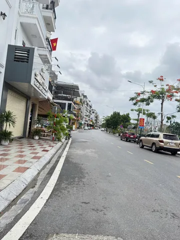 Bất động sản tại Hải Phòng - ảnh 1