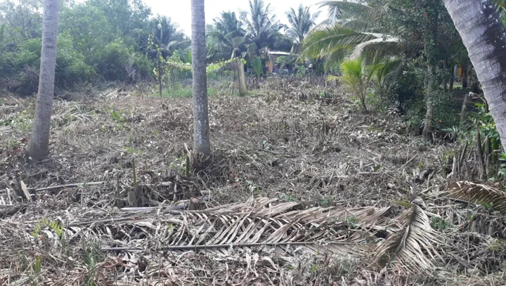 Bất động sản tại Long An - ảnh 1