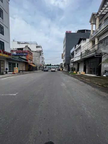 Bất động sản tại Bình Dương - ảnh 1
