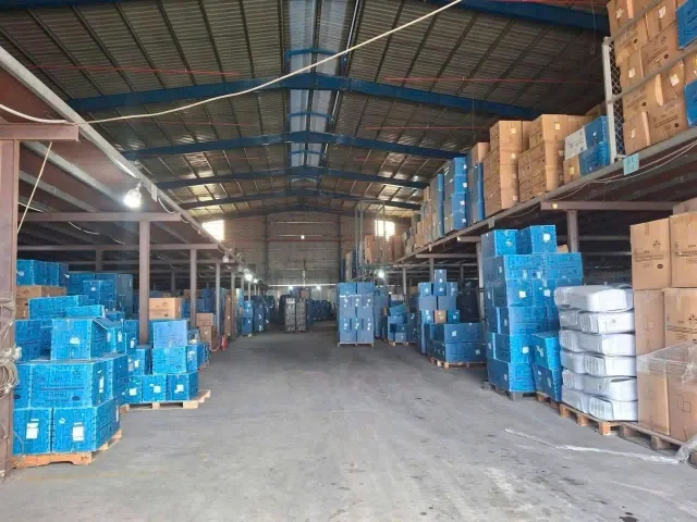 Bất động sản tại Bình Dương - ảnh 1