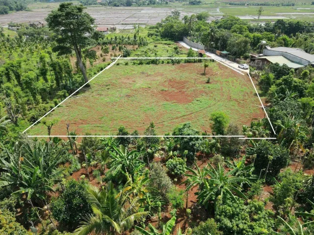 Bất động sản tại Đắk Lắk - ảnh 1