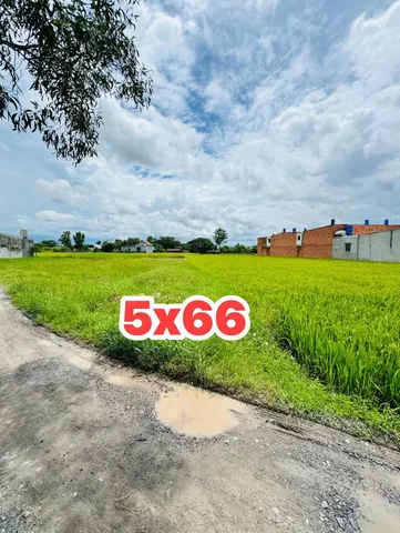 Bất động sản tại Tây Ninh - ảnh 1