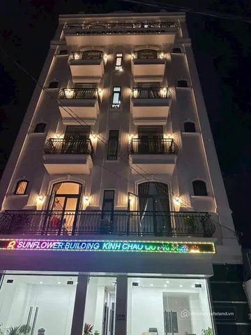 Bất động sản tại TP. Hồ Chí Minh - ảnh 1