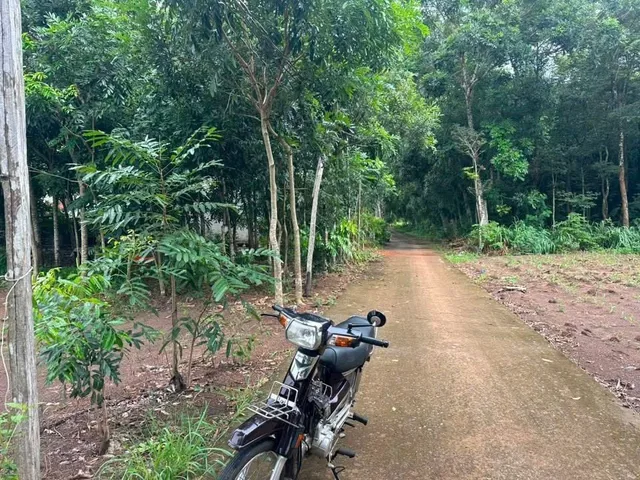 Bất động sản tại Đồng Nai - ảnh 1
