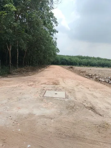 Bất động sản tại Bình Dương - ảnh 1