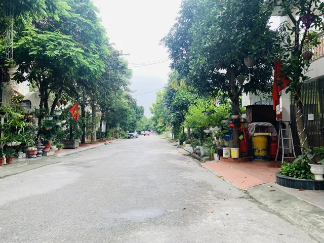 Bất động sản tại Hải Phòng - ảnh 1