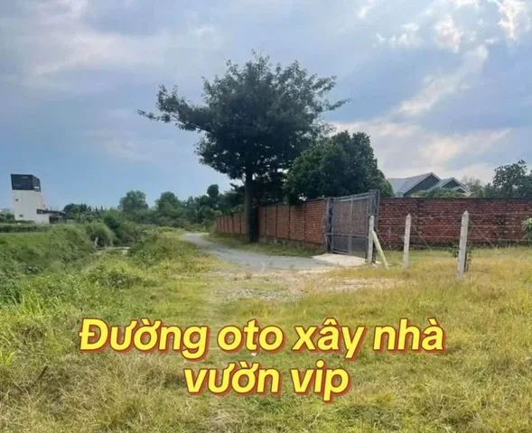 Bất động sản tại Bình Dương - ảnh 1