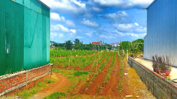 Bất động sản tại Lâm Đồng - ảnh 1