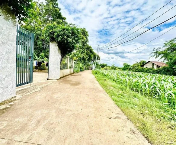 Bất động sản tại Đắk Lắk - ảnh 1