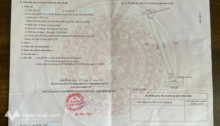 Bất động sản tại Bình Phước - ảnh 1