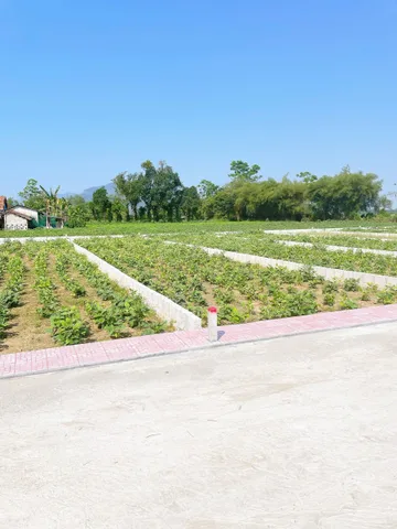 Bất động sản tại Thừa Thiên Huế - ảnh 1