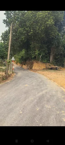 Bất động sản tại Bình Dương - ảnh 1
