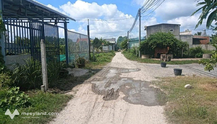 Bất động sản tại Long An - ảnh 1