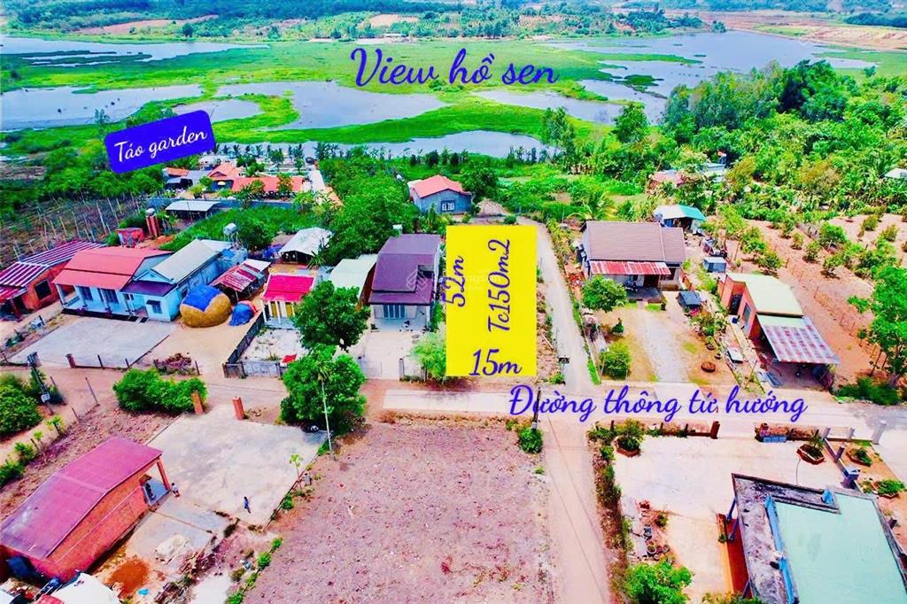 Bất động sản tại Đắk Lắk - ảnh 1