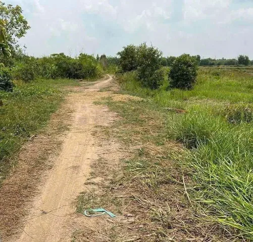 Bất động sản tại Tây Ninh - ảnh 1