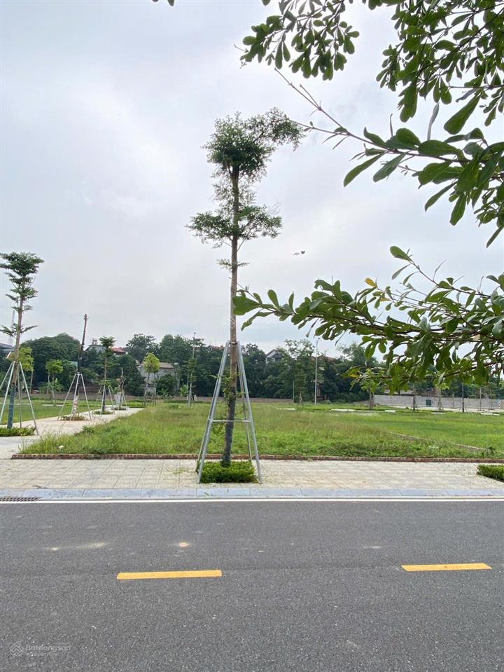 Bất động sản tại Phú Thọ - ảnh 1
