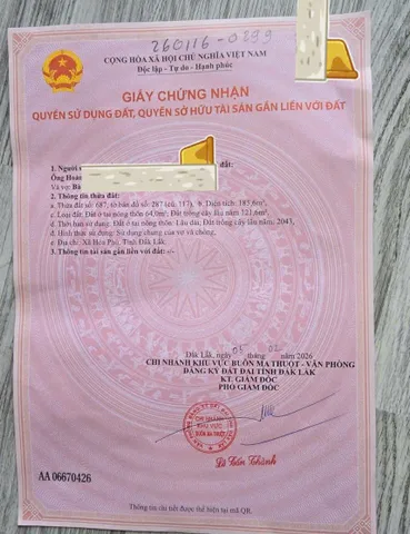 Bất động sản tại Đắk Lắk - ảnh 1