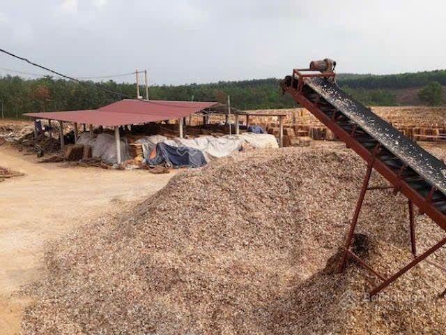 Bất động sản tại Quảng Nam - ảnh 1