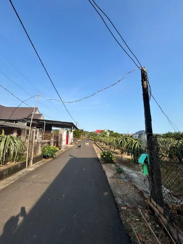 Bất động sản tại Bà Rịa - Vũng Tàu - ảnh 1