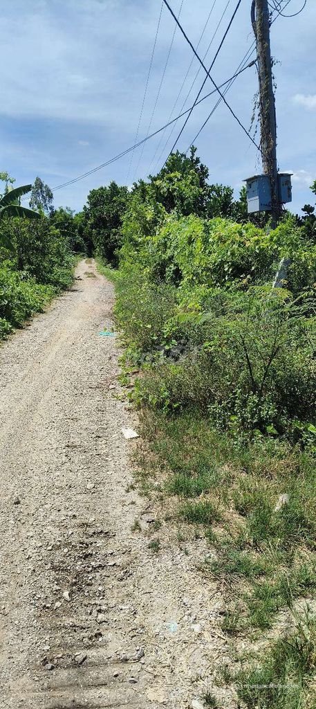 Bất động sản tại An Giang - ảnh 1