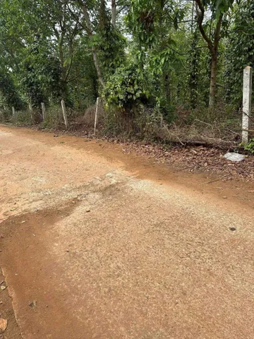 Bất động sản tại Đắk Lắk - ảnh 1