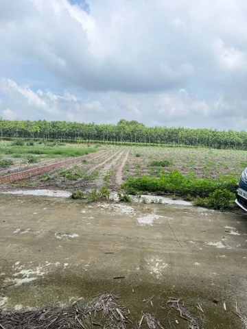 Bất động sản tại Bình Phước - ảnh 1