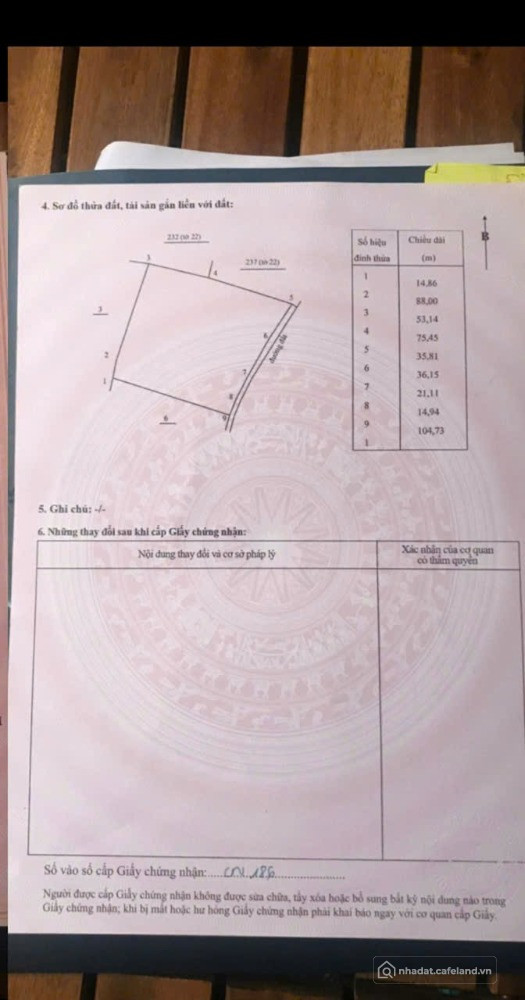 Bất động sản tại Lâm Đồng - ảnh 1