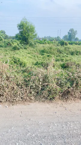 Bất động sản tại Tây Ninh - ảnh 1