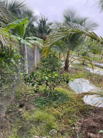 Bất động sản tại Đồng Tháp - ảnh 1