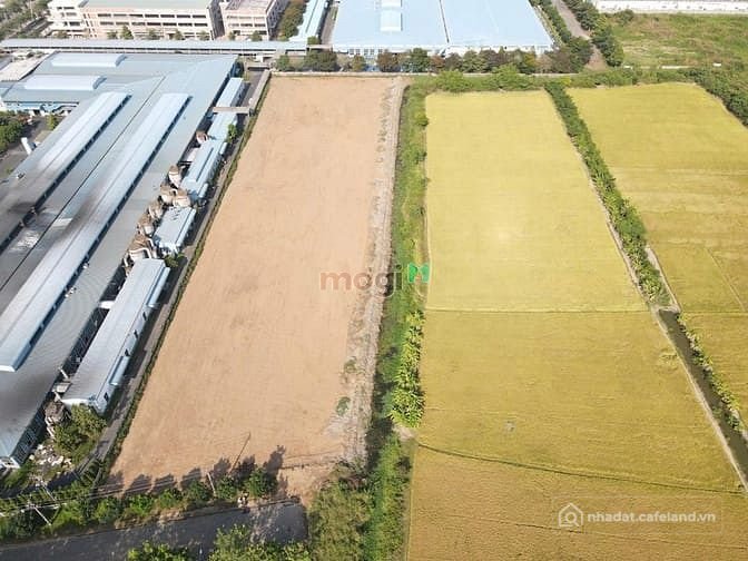 Bất động sản tại Tây Ninh - ảnh 1