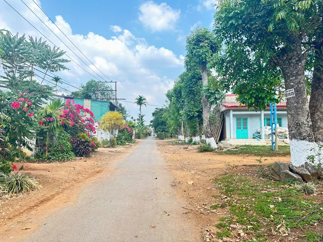 Bất động sản tại Đắk Lắk - ảnh 1
