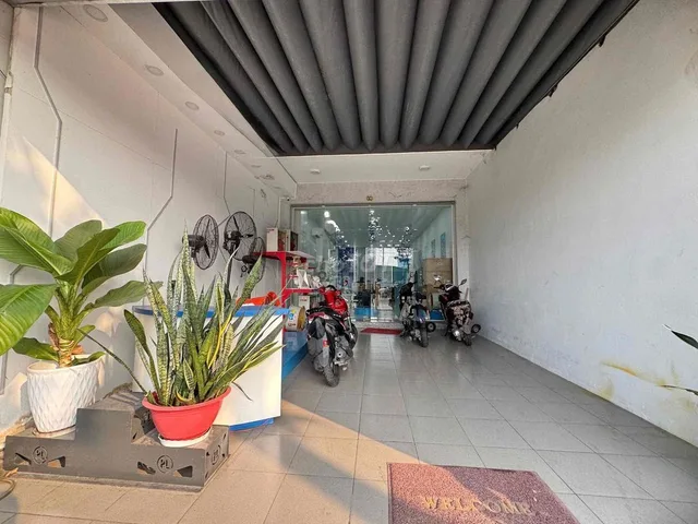 Bất động sản tại Bình Dương - ảnh 1