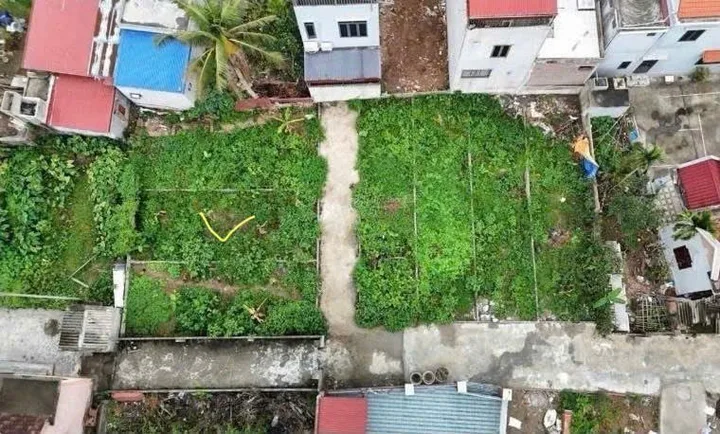 Bất động sản tại Hải Phòng - ảnh 1
