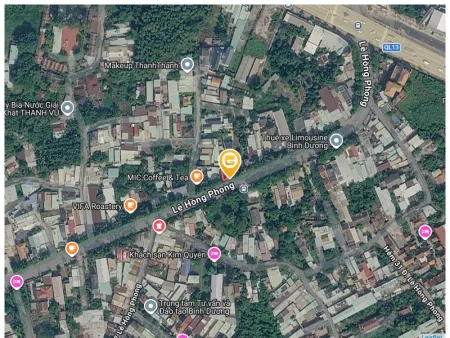 Bất động sản tại Bình Dương - ảnh 1