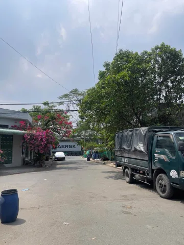 Bất động sản tại Bình Dương - ảnh 1