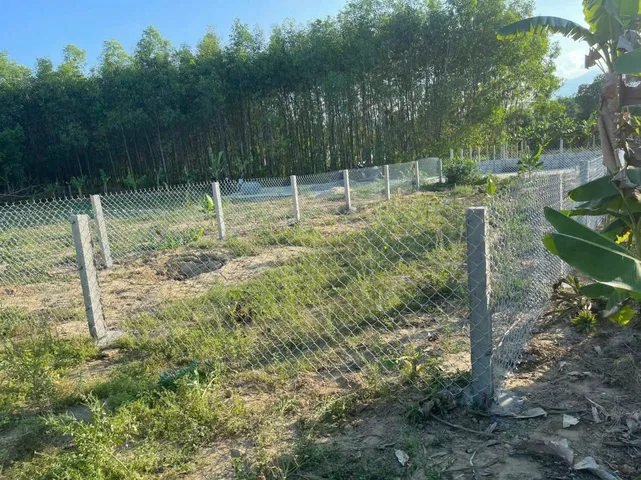 Bất động sản tại Đà Nẵng - ảnh 1