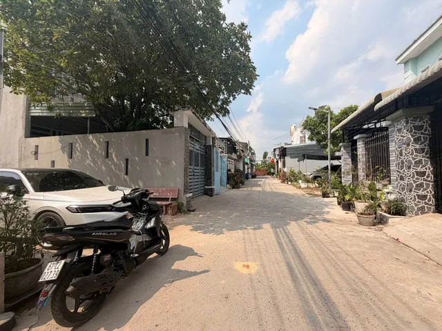 Bất động sản tại Bình Dương - ảnh 1