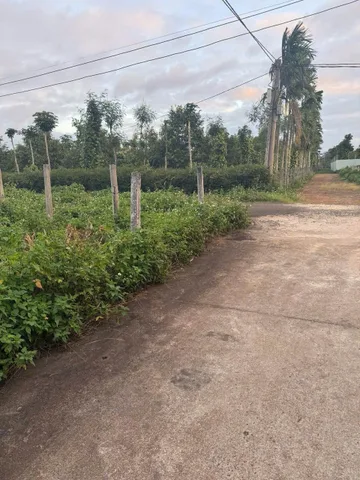 Bất động sản tại Đắk Lắk - ảnh 1