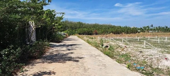 Bất động sản tại Đồng Nai - ảnh 1