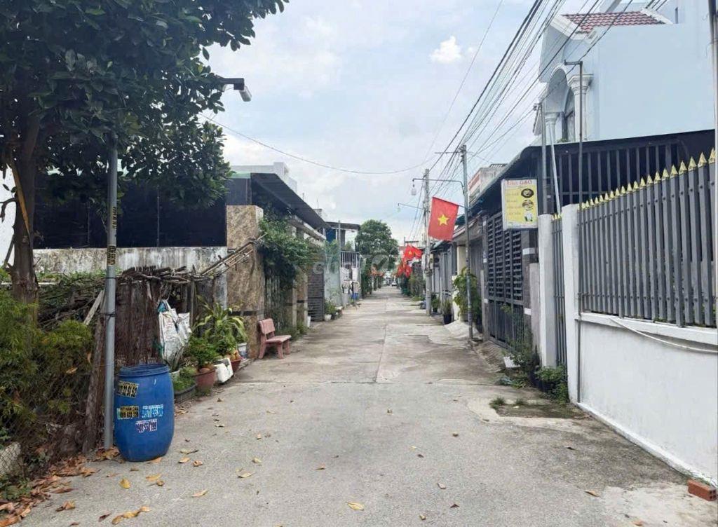 Bất động sản tại Bình Dương - ảnh 1